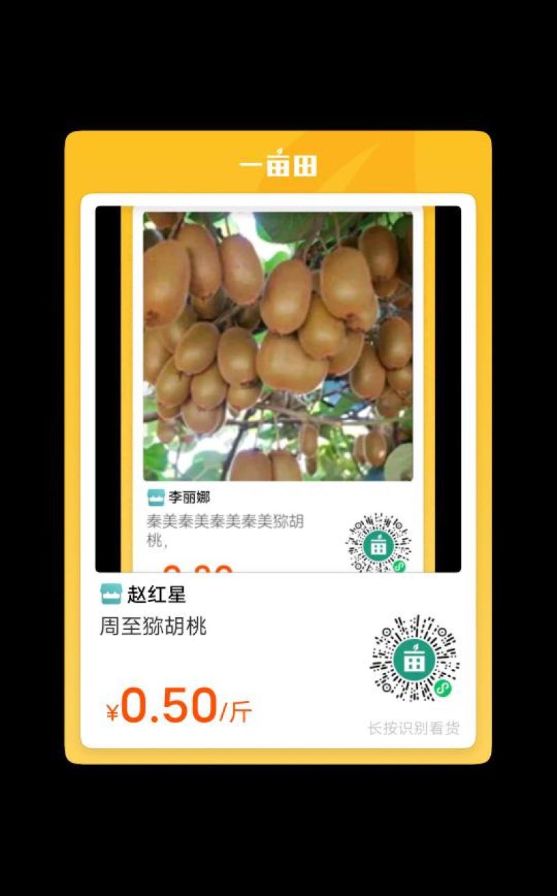 周至猕胡桃