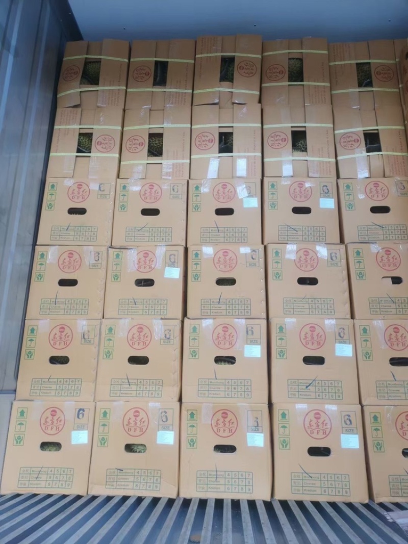 榴莲东方红金枕榴莲品质好价格实惠欢迎下单