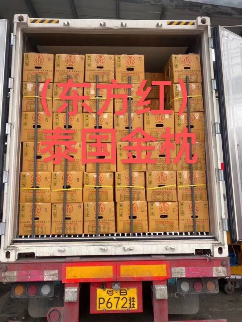 榴莲东方红金枕榴莲品质好价格实惠欢迎下单