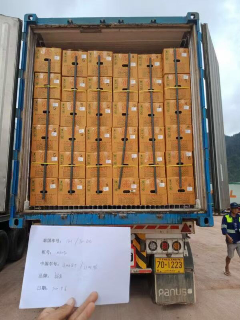 榴莲东方红金枕榴莲品质好价格实惠欢迎下单