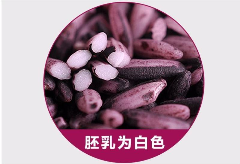 新紫米紫糯米墨江紫米口感好5斤起一件代发包邮