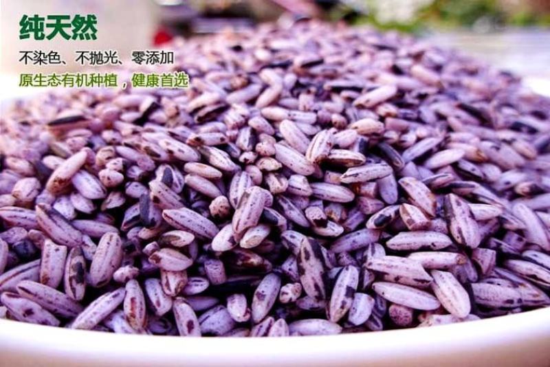 新紫米紫糯米墨江紫米口感好5斤起一件代发包邮