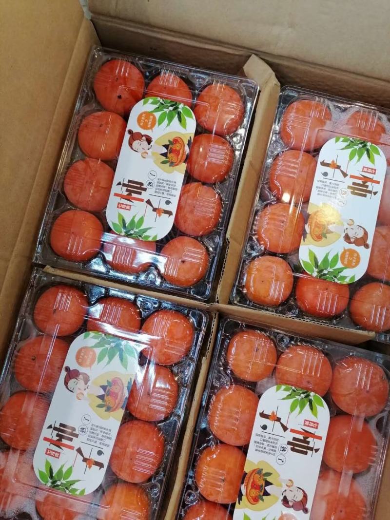胎里红，七月黄，吊红柿子大量上市中，需要的联系我