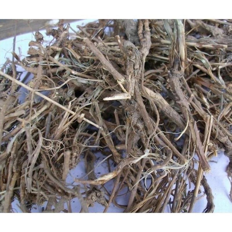 陕西秦岭中药材柴胡根野生茎叶北柴胡根正品500g包邮