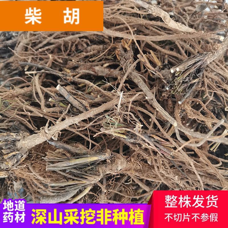 陕西秦岭中药材柴胡根野生茎叶北柴胡根正品500g包邮