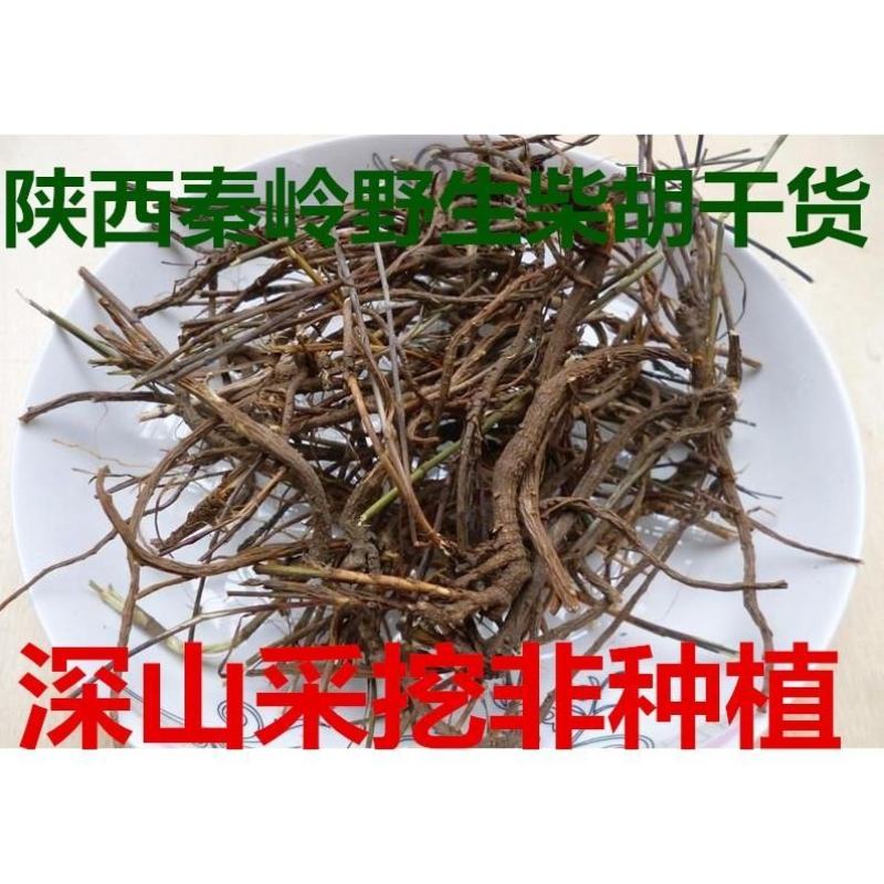 陕西秦岭中药材柴胡根野生茎叶北柴胡根正品500g包邮