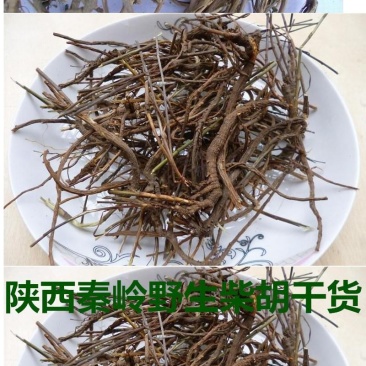陕西秦岭中药材柴胡根野生茎叶北柴胡根正品500g包邮