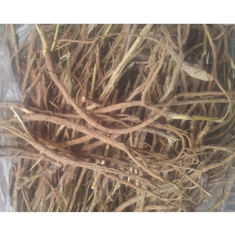 陕西秦岭中药材柴胡根野生茎叶北柴胡根正品500g包邮