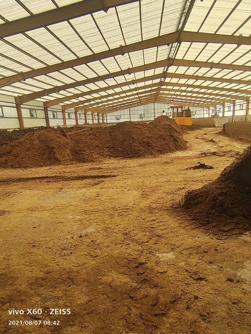 干湿分离，水洗牛粪，育苗基质发酵牛粪，基地直发