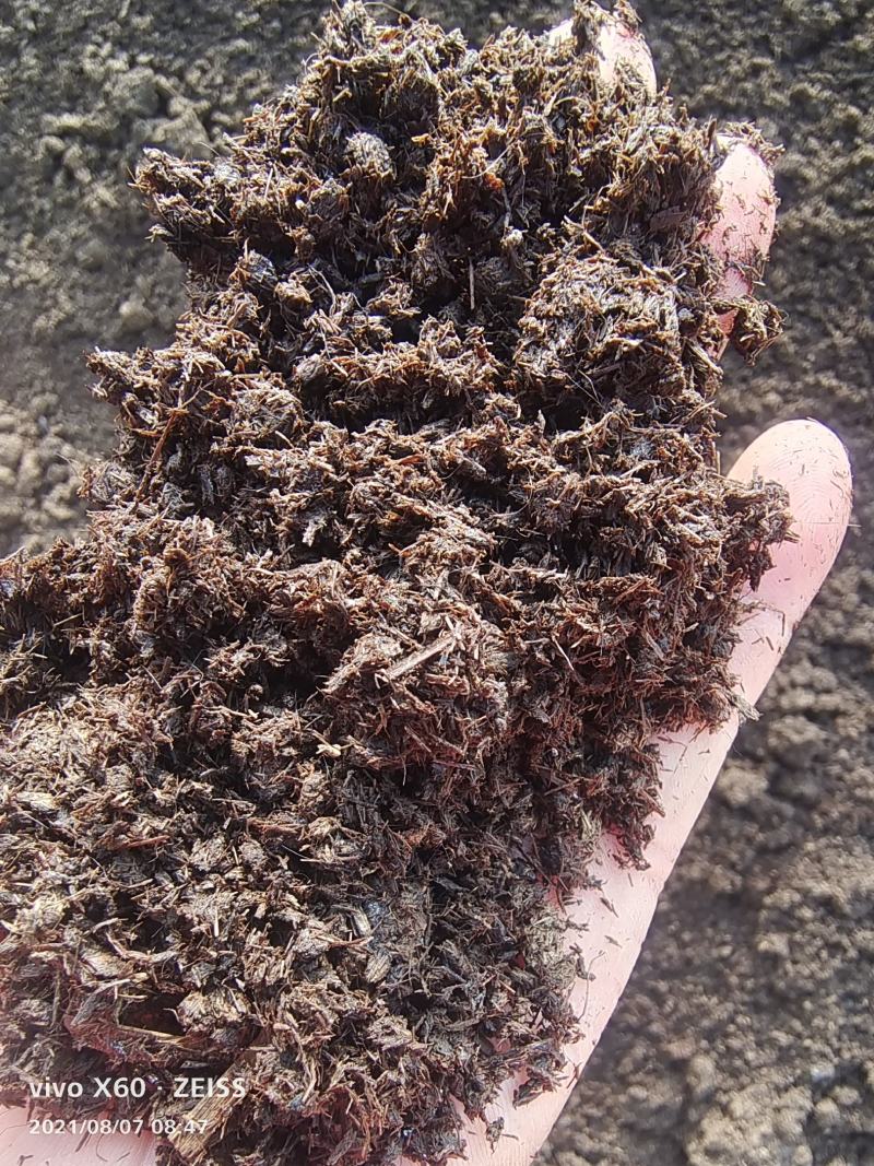 干湿分离，水洗牛粪，育苗基质发酵牛粪，基地直发
