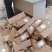 文竹苗大文竹盆栽地栽盆景云竹室内阳台绿植四季常青花卉植物