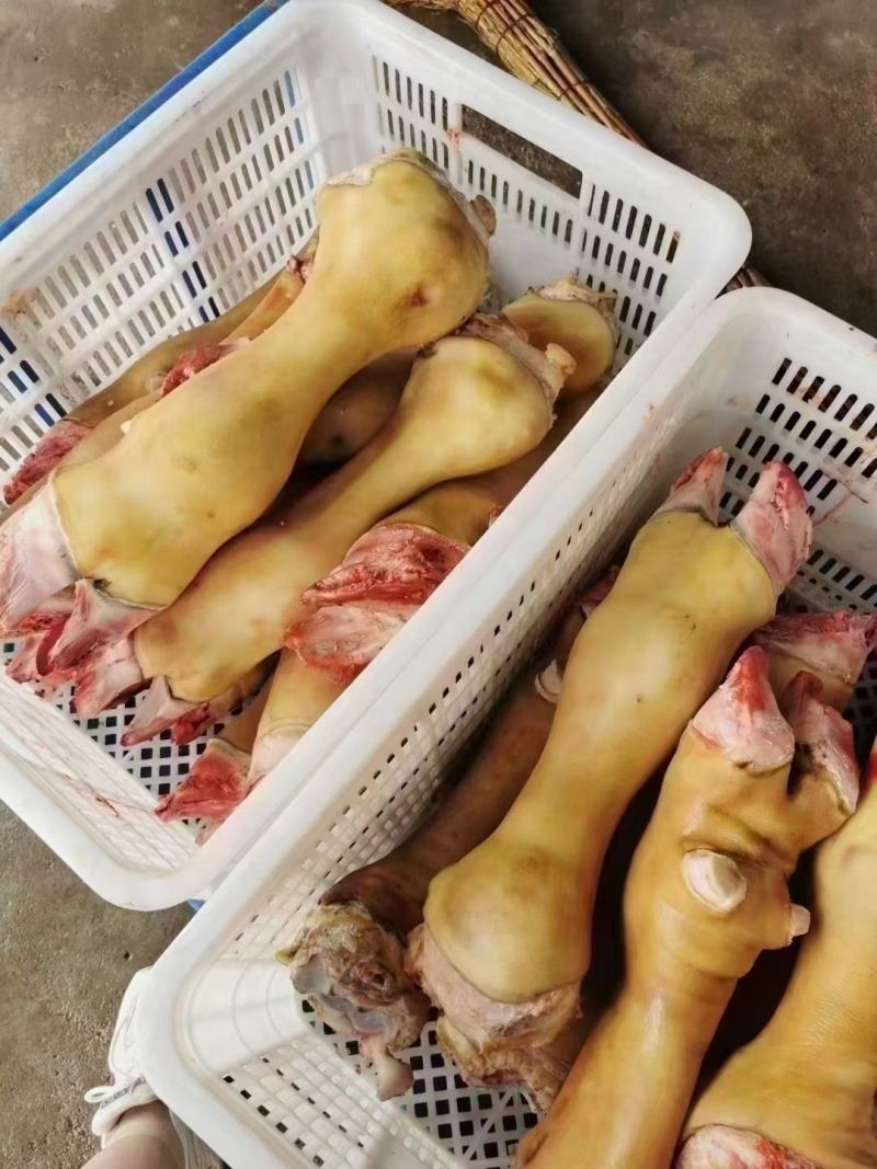 火烧毛牛蹄一手货源大量有货对接全国欢迎来电咨询