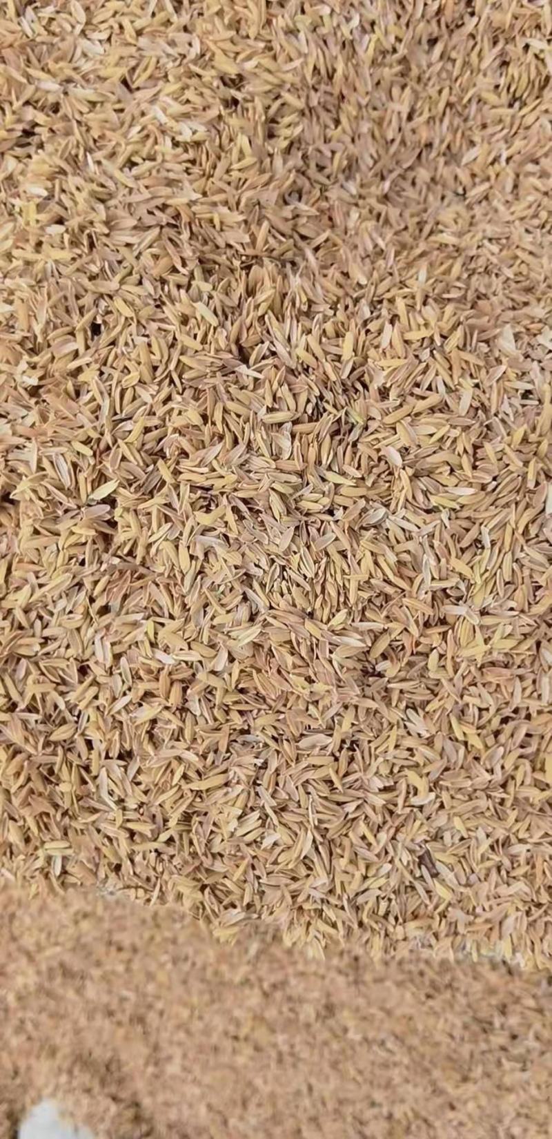 米厂直供各种粮食及副产品大米碎米稻壳壳糠碎米色选混合糠