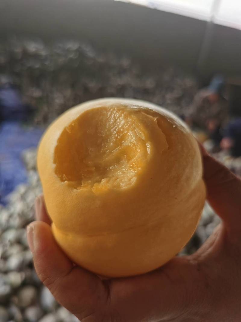 【脆甜】油桃油八精品黄桃中的贵族。全国发货供应