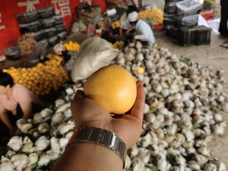【脆甜】油桃油八精品黄桃中的贵族。全国发货供应