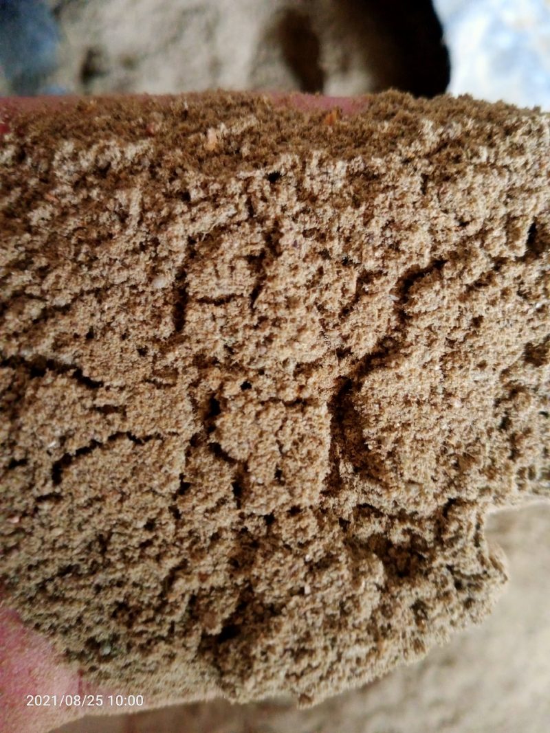 鱼粉脱脂鱼粉厂家直销质优价廉欢迎订购来厂指导