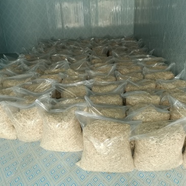 岳阳民心蔬菜，纯手工制作的“洞庭银丝”，少供应市场！
