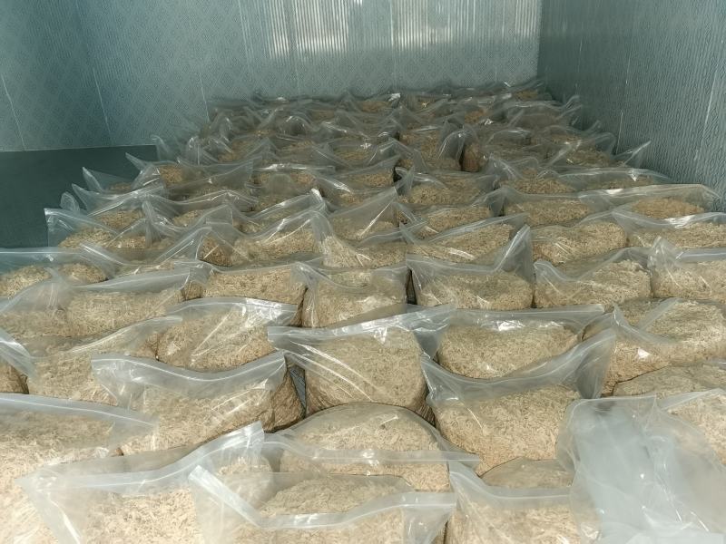 岳阳民心蔬菜，纯手工制作的“洞庭银丝”，少供应市场！