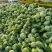 岳阳民心蔬菜，纯手工制作的“洞庭银丝”，少供应市场！