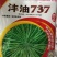沣油737油菜.非转基因，杂交一代，含油量44.86%.