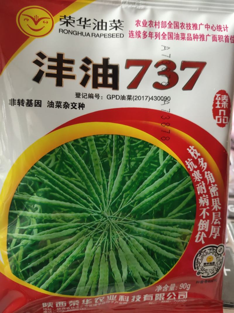 沣油737油菜.非转基因，杂交一代，含油量44.86%.