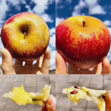 糖心苹果
