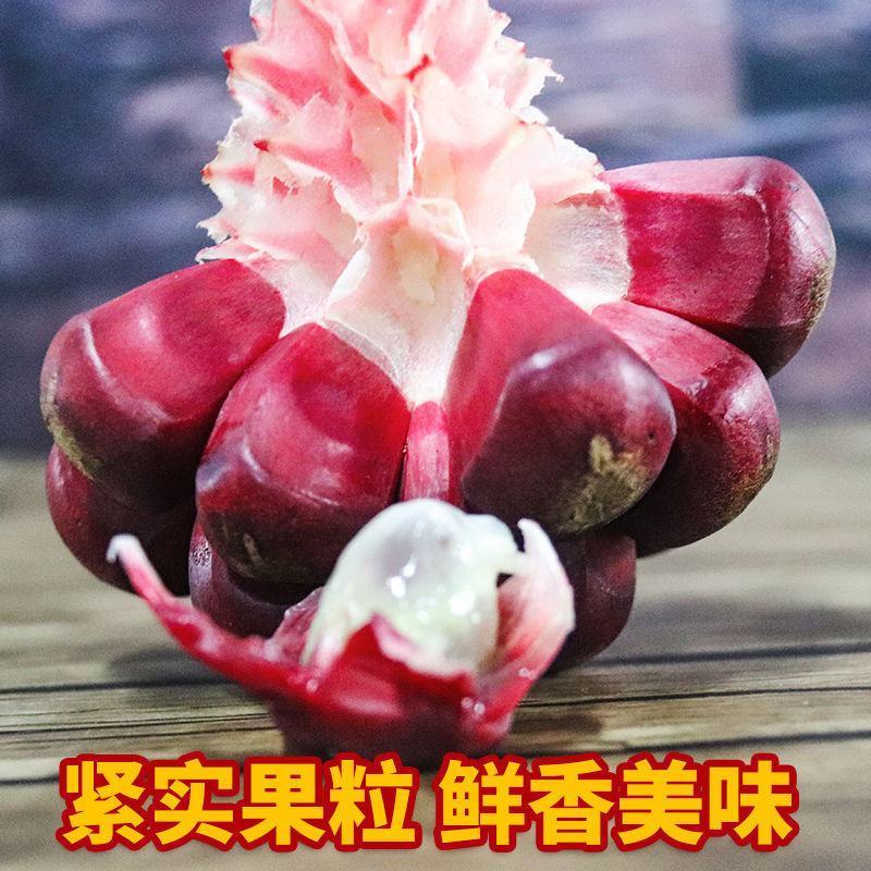 黑老虎恶魔果布福娜野生大血藤果稀有水果顺丰包邮包售售后