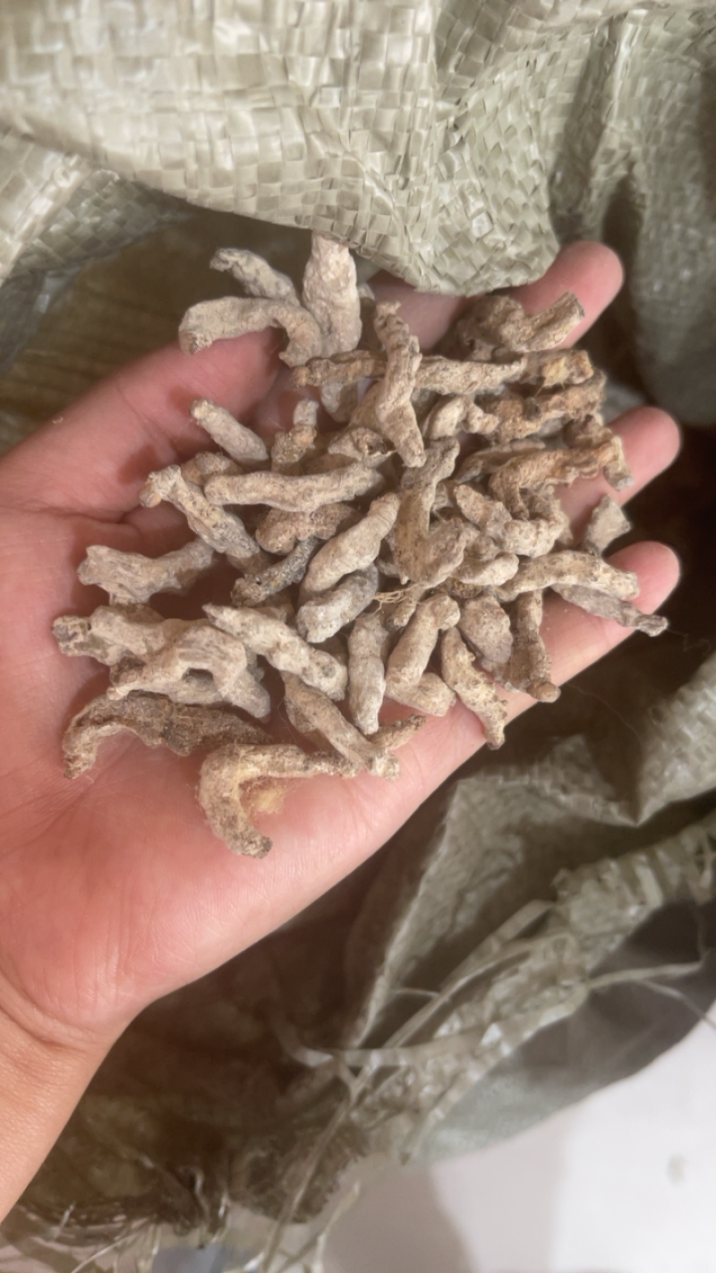 僵蚕白僵蚕天虫正品中药材批发包邮