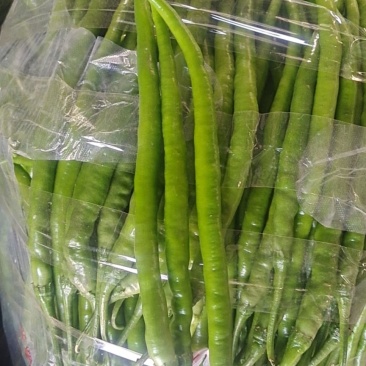 【精品货源】线椒黑线黄线货源充足大量上市