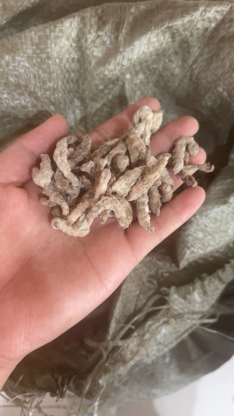 僵蚕白僵蚕天虫正品中药材批发包邮