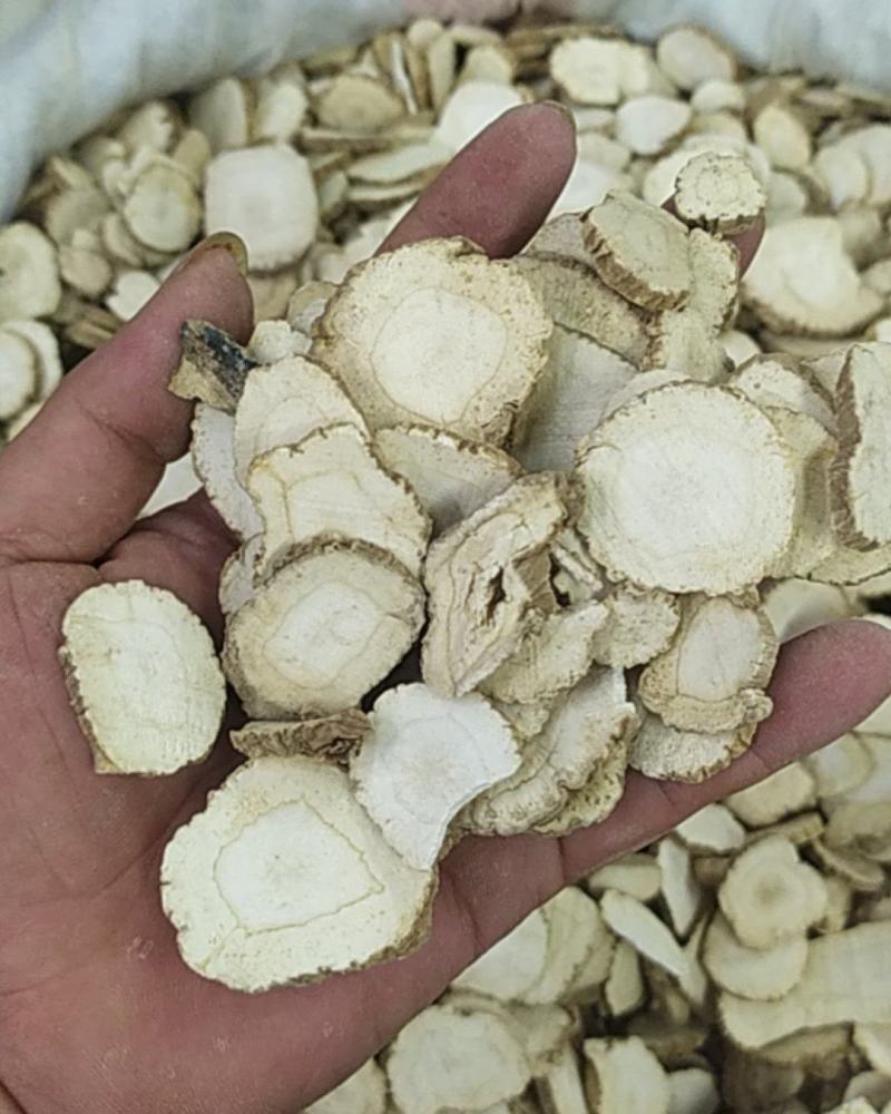 白芷基地直供全国发货诚信经营货源充足
