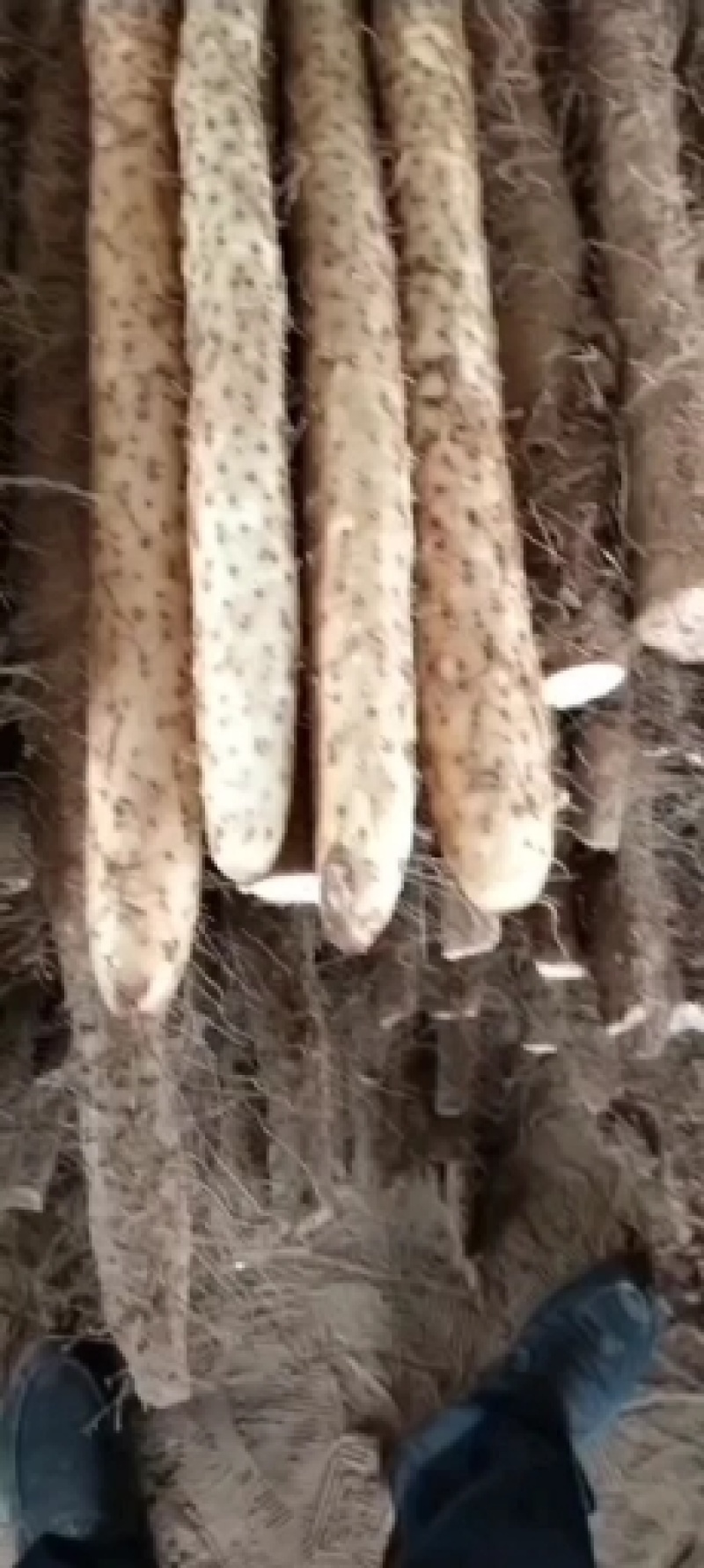 铁棍山药物美价廉，诚信经营，质量保证/量大价优