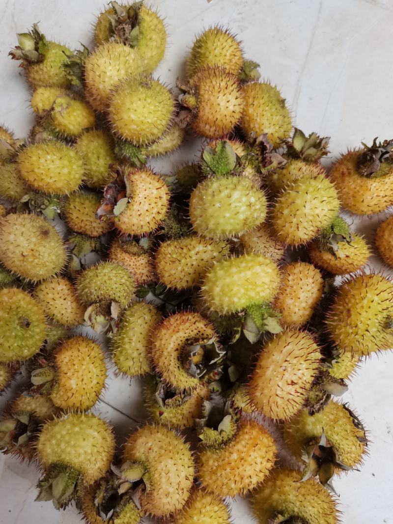刺梨鲜果