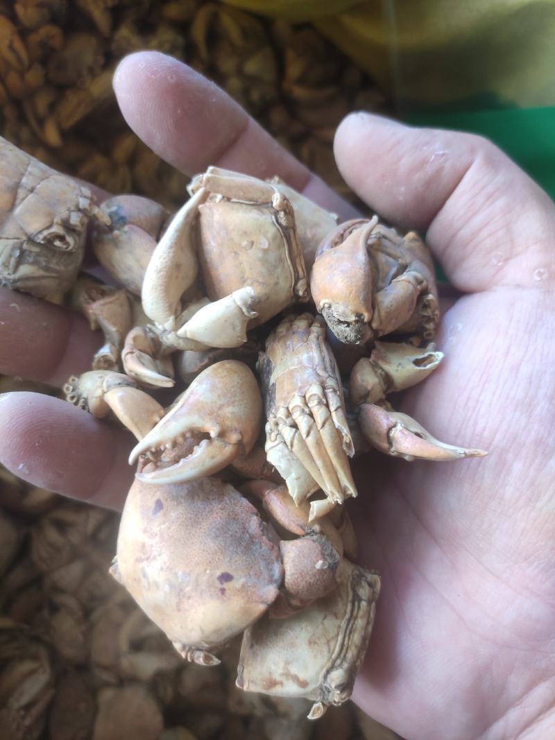 方海常年经营冷背中药材量大从优！