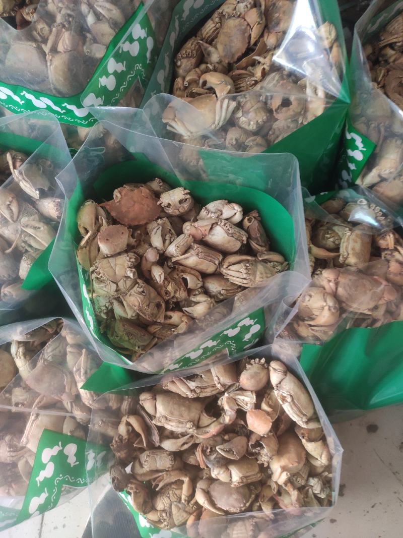 方海常年经营冷背中药材量大从优！