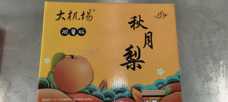 山东青岛胶州市千亩秋月梨9月1日左右大量上市