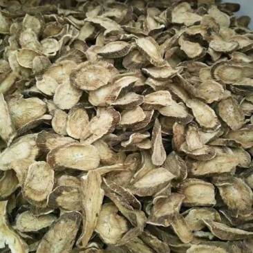 牛蒡根片常年经营各种中药材量大从优欢迎选购！
