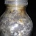 山东盛达菌业供应羊肚菌母种原种栽培种及菌需用品