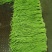泡豇豆豇豆豇豆豇豆豇豆豇豆豇豆豇豆豇豆豇豆豇豆豇