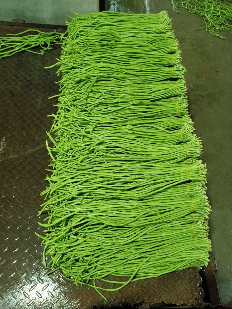 泡豇豆豇豆豇豆豇豆豇豆豇豆豇豆豇豆豇豆豇豆豇豆豇