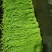 泡豇豆豇豆豇豆豇豆豇豆豇豆豇豆豇豆豇豆豇豆豇豆豇