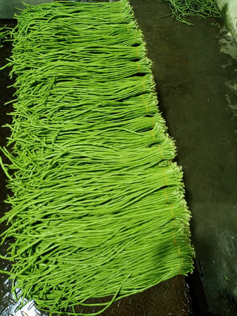 泡豇豆豇豆豇豆豇豆豇豆豇豆豇豆豇豆豇豆豇豆豇豆豇