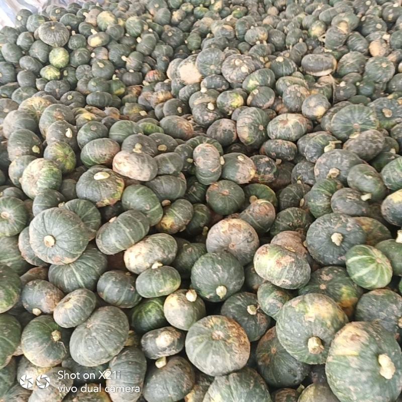 城固南瓜(奶油南瓜丿现货2斤以上每天供应量1OO吨