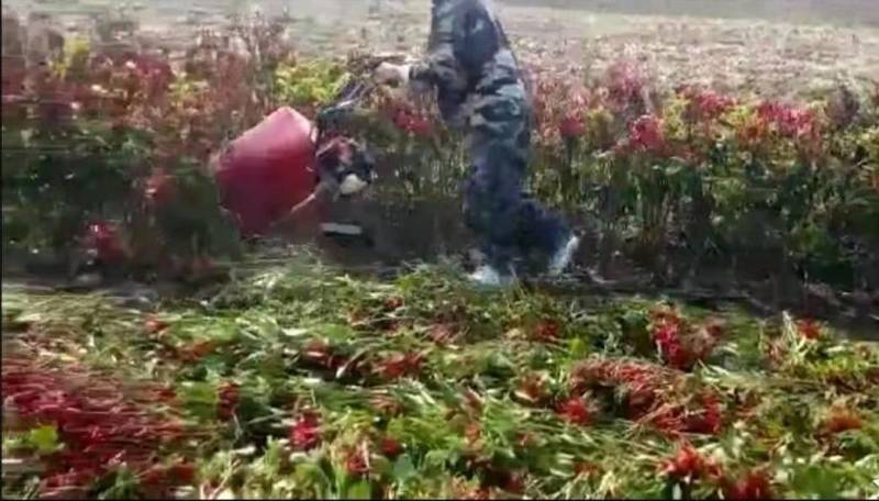 佳福供应辣椒收获机大豆收割机玉米收割机批发零售