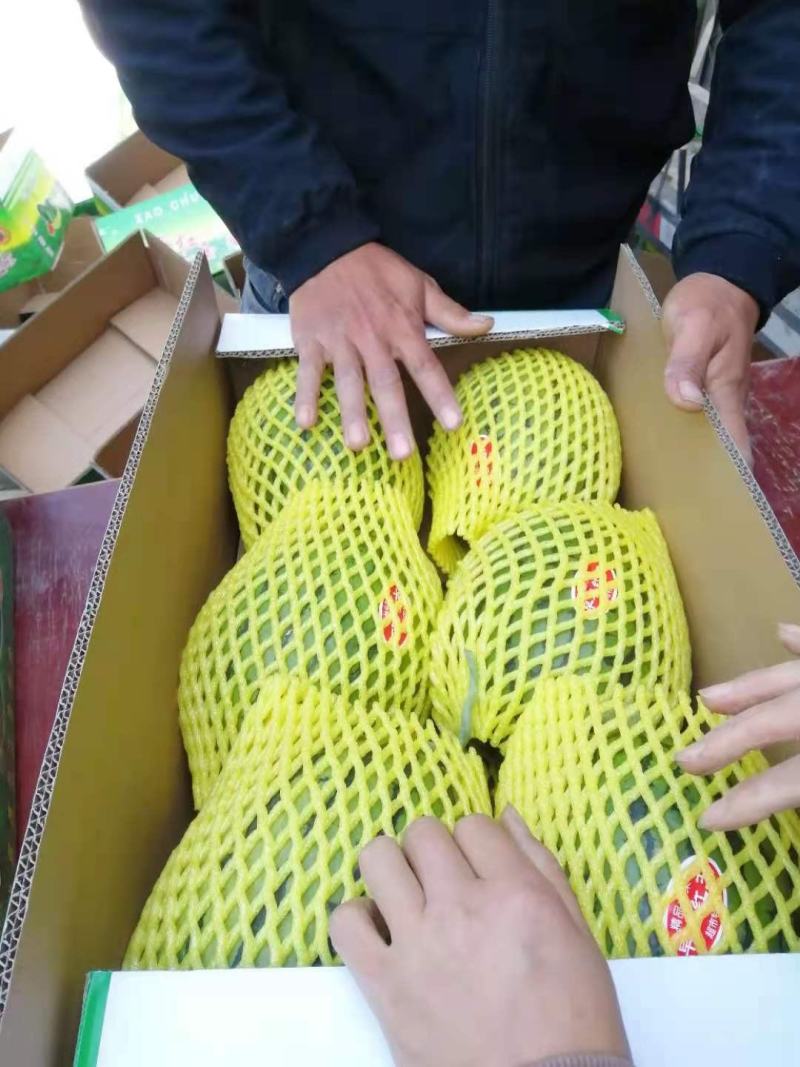 早春红玉，2K大量上市，皮薄，翠甜，基地货源，代发全国