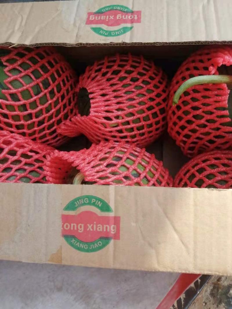 早春红玉，2K大量上市，皮薄，翠甜，基地货源，代发全国