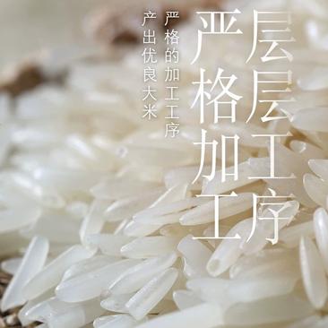 丝苗香米厂家现货批发市场营销五谷杂粮，量大从优