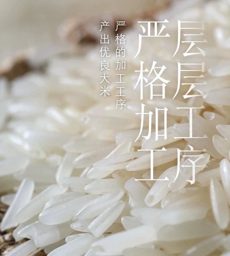 丝苗香米厂家现货批发市场营销五谷杂粮，量大从优