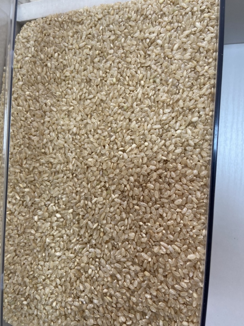 东北小粒香大米，厂家直发优质东北小粒香大米