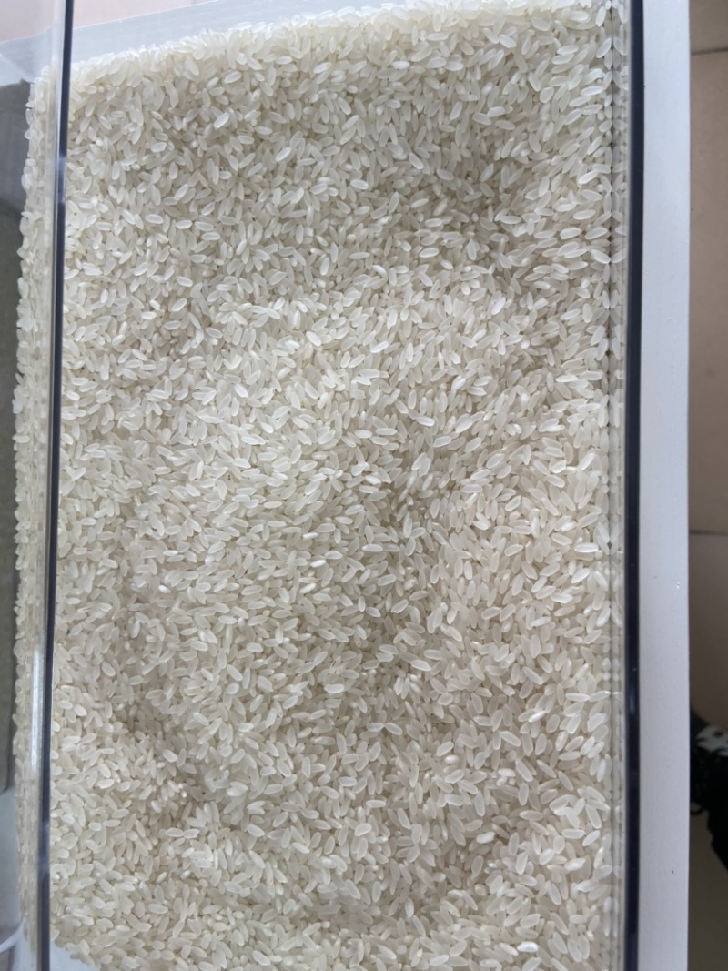 东北小粒香大米，厂家直发优质东北小粒香大米